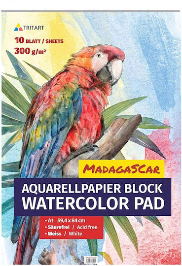 Bloc De Schițe Tritart A1 10 Foi Hârtie Albă 300 G/m² 2 Texturi Netedă Tare 59.4x84.1 Cm