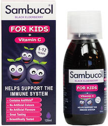 Galenica Βιταμίνη C 95mg Black Elderberry 120ml Galenica Βιταμίνη C 95mg Black Elderberry 120ml