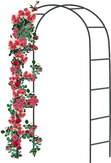 Metal Arch Curved Pergola Roses Decoration Wedding Baptisms Garden Anniversaries Parties Water-Resistant 240 X 140 X 38 Cm