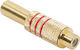 Master Audio Ma286 Gold Female Rca Connector Cable