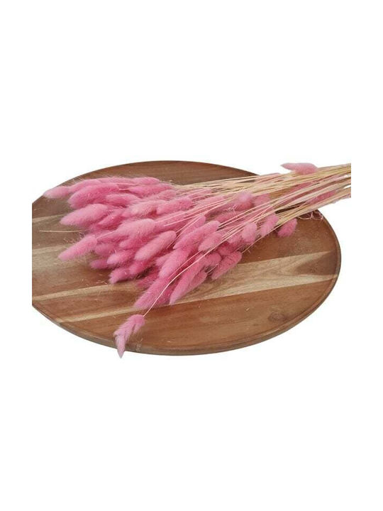 Lagurus Αποξηραμενο Bunny Tails 100 Gr Σκουρο Ροζ