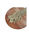 Phalaris Dried Flowers 100 Gr 60/70cm Natural Green