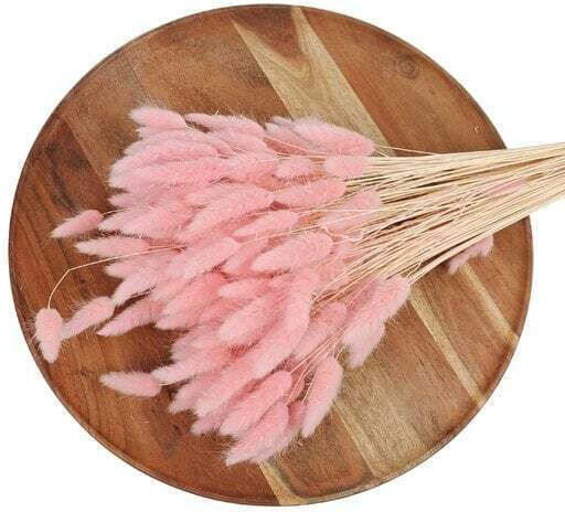 Lagurus Αποξηραμενα Bunny Tails 100 Gr Ροζ