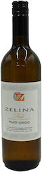 Anselmi Zelina Пино Гриджо Фриули Dop 750ml 12.5% Италия