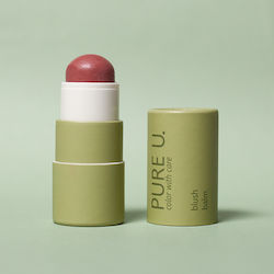 Pure U Ρουζ Mauve Mood 5gr Pure U Ρουζ Mauve Mood 5gr