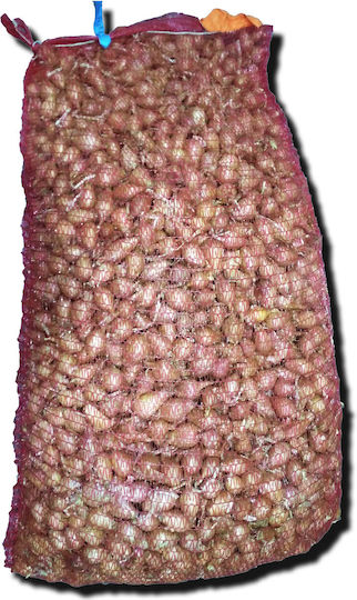 Gemma Bulb Onion Kokkari Brown 1kg