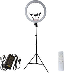 Professional Ring Light LED Circular Lamp Nextly Touch Control 56cm Diameter 22 Inch Warm Cool Neutral Light 10 Light Levels 3 Phone Holders Remote Control
