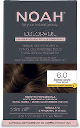 Noah for Beauty 6.0 Dark Blonde Noah for Beauty 6.0 Dark Blonde