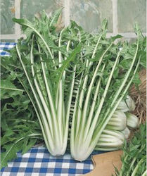 Geniki Fytotechniki Athinon Seeds Wild Red Stem...