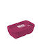 Must Team Lunchbox Kunststoff Purple Geeignet für die Mikrowelle 950ml 1Stück