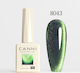 Canni Semi-Permanent Nail Polish 8043 1pcs