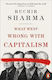 What Went Wrong With Capitalism Ruchir Sharma