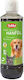 Nobby Oil Dietary Supplement for Dogs 250ml for Skin & Hair