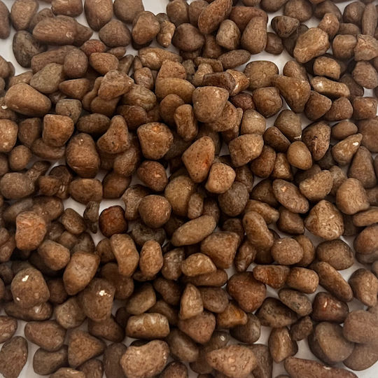 Epigasos Aquariumböden Kaffeefarbenes Substrat Durchmesser 1-3mm 0,5kg