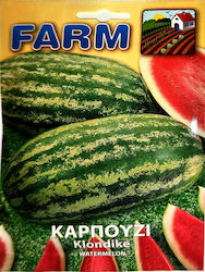 Primasem Seeds Watermelon Barrel