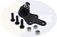 Ball Joint Front Right-Lower Front Ford Cbj6013