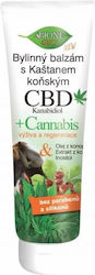 Bio Bione Έλαιο Κάνναβης με 100% CBD & με 100% CBG 300ml Bio Bione Έλαιο Κάνναβης με 100% CBD & με 100% CBG 300ml
