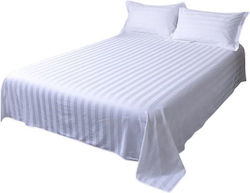 Kotonia Home Kotonia Home