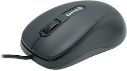 Terra Wortmann AG Wired Gray