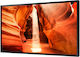 Samsung Signage Public Display LED VA Full HD 55"