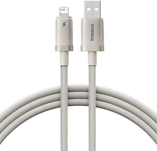 Baseus Titanium Power Datenkabel Smartphone Usb zu Usb Typ-C 100w Geflochtenes 2m Gelbe Stamp 0.18 Lei 6932172669614