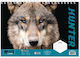 Must Team Drawing Pad 23x33 40 Sheets Must Team...