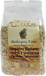 Βιόδωρος Γαία Bio Νιφάδες Βρώμης 500gr Βιόδωρος Γαία Bio Νιφάδες Βρώμης 500gr