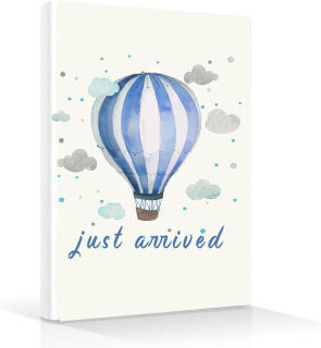 Bonjour Bebe Baby Health Book Cover