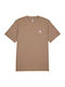 Star Chevron T-Shirt Mushroom Forage