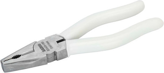 Bahco Allgemeine Verwendung Zange aus rostfreiem Stahl 160mm Ss400-160