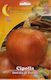 Лук Dorata Di Parma 10гр