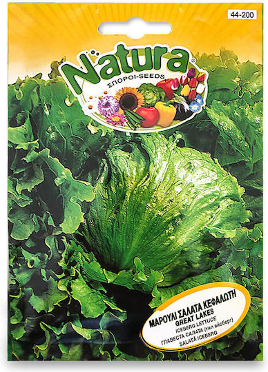 Great Lakes Natura Lettuce Head Salad Seed