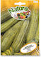 Samen Rund Zucchini Natura