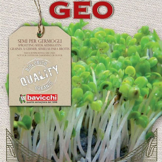 Semințe Germeni De Busuioc Organic 50 Grame