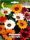 Gazania Saatgut Mix