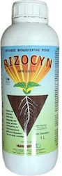 Rizocyn Φυσικός Βιοδιεγέρτης Ριζοβολίας 1 Λίτρο Rizocyn Φυσικός Βιοδιεγέρτης Ριζοβολίας 1 Λίτρο