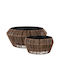 Peta Bowl Maro Închis Mic 37cm 1126039-s