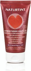 Naturtint Μάσκα Μαλλιών 150ml Naturtint Μάσκα Μαλλιών 150ml