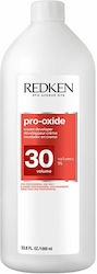 Redken Pro-oxide 1 L Haarfarbentwickler Redken Pro-oxide 1 L Haarfarbentwickler