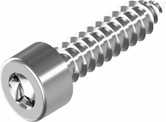 Λαμαρινόβιδες Inox A2 Ws9200 4.8 10 Τεμάχια 4.8 X 25