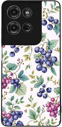 Sonique Fruit Series Motorola Moto G75 5G Blaub...