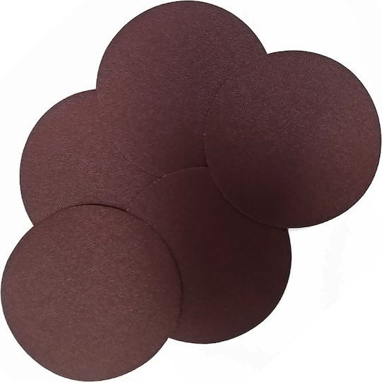 Γυαλόχαρτα Velcro 115 Mm No 100 5 Τεμάχια