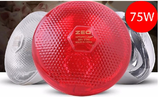 Bongbada Red 75 Watt Pressurized Glass Heat Lamp