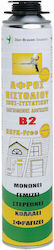Polyurethane Foam Gun B2 750ml Den Braven Controlled Expansion 153-00002β3750 Polyurethane Foam Gun B2 750ml Den Braven Controlled Expansion 153-00002β3750