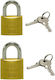 Goldoor Set of Small Brass Heavy Duty Padlocks 20-25mm 2 Pieces