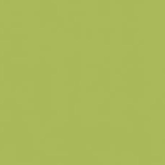 Plastikboden Exclusive 200 27038011 Einfarbig Lime 200x