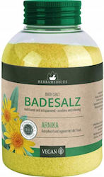Herbamedicus Badesalz Arnika 575g Badezusätze Arnika Herbamedicus Badesalz Arnika 575g Badezusätze Arnika