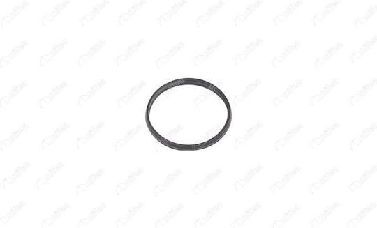 Oring Supapă Variabilă B-max Jk 1.0 Ecoboost X2 Ibras-br20085