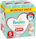 Pampers Diaper Pants Premium Care Monthly Pack ...