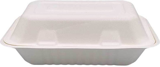 Biodegradable Sugarcane Disposable Plastic Tableware Rectangular Portion 1000ml 22.8x15.2x8.1 Lid 125pcs